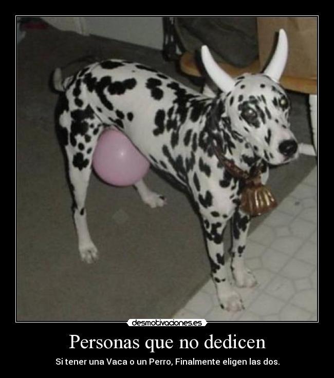 Personas que no dedicen -
