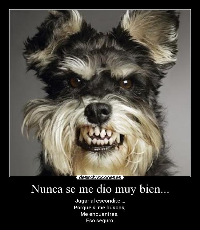 Nunca se me dio muy bien... - Jugar al escondite ...
Porque si me buscas,
Me encuentras.
Eso seguro.