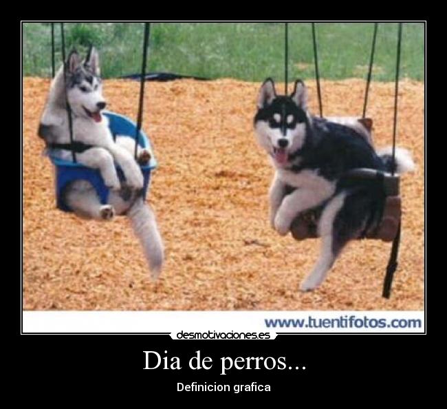 carteles los perros desmotivaciones