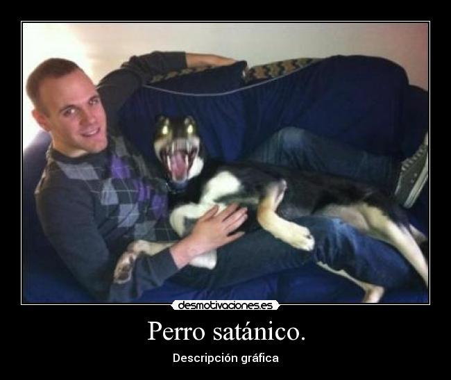 Perro satánico. -