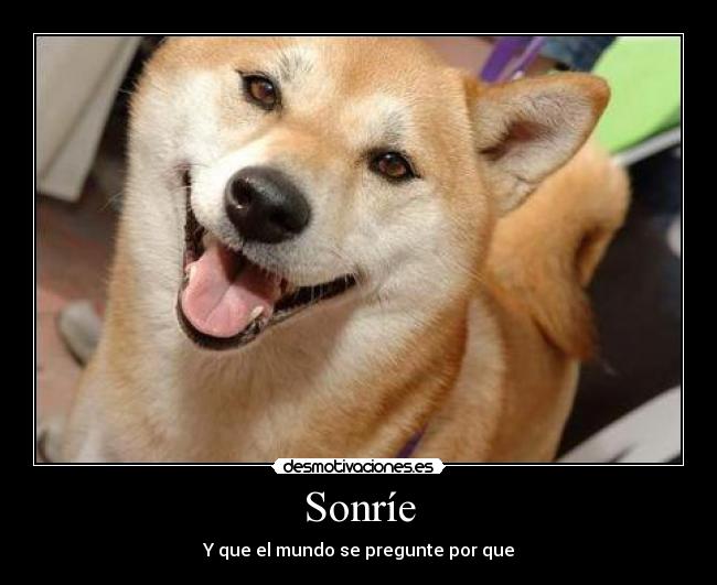 carteles sonrie que mundo pregunte por que desmotivaciones