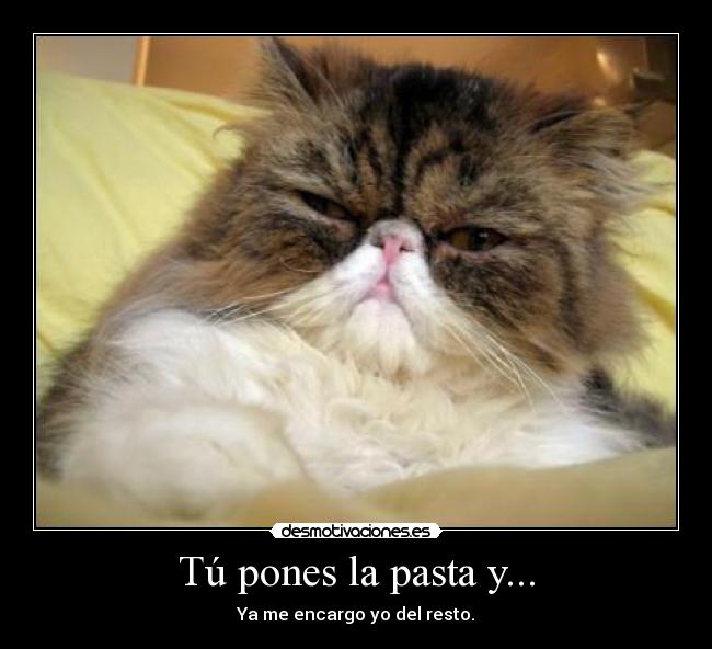 Tú pones la pasta y... -