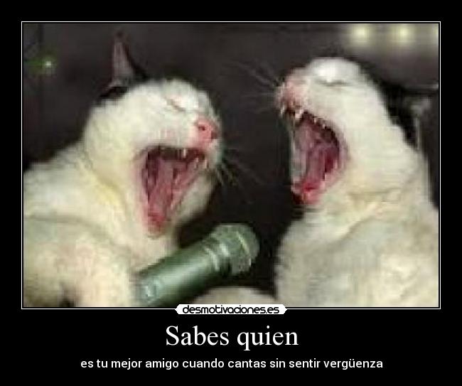 carteles amistad desmotivaciones