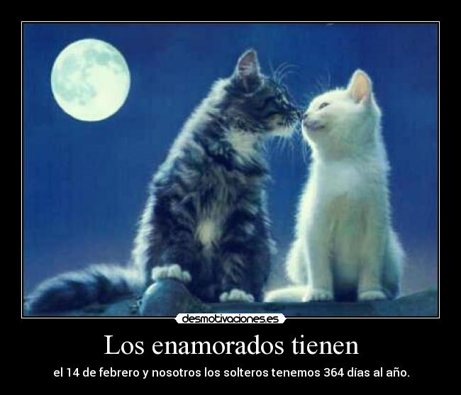 Los enamorados tienen -