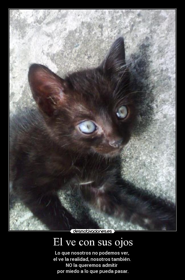 El ve con sus ojos - Lo que nosotros no podemos ver,
el ve la realidad, nosotros también.
NO la queremos admitir
por miedo a lo que pueda pasar.