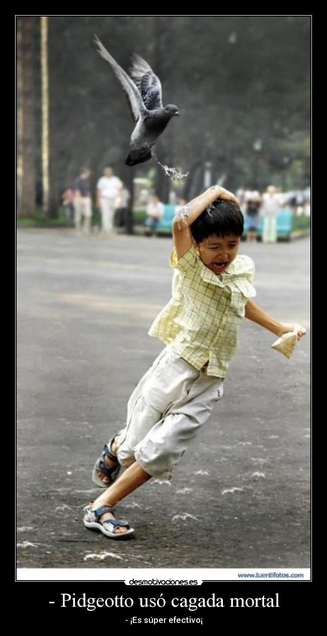 - Pidgeotto usó cagada mortal - - ¡Es súper efectivo¡