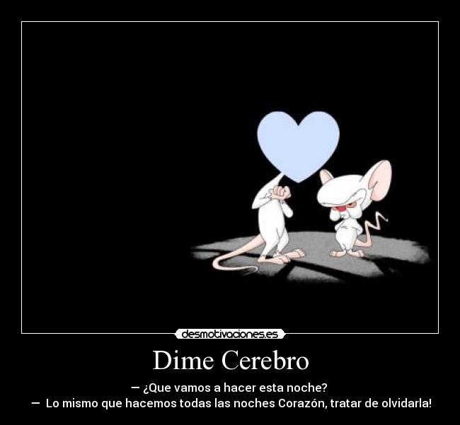 Dime Cerebro - — ¿Que vamos a hacer esta noche? 
—  Lo mismo que hacemos todas las noches Corazón, tratar de olvidarla!