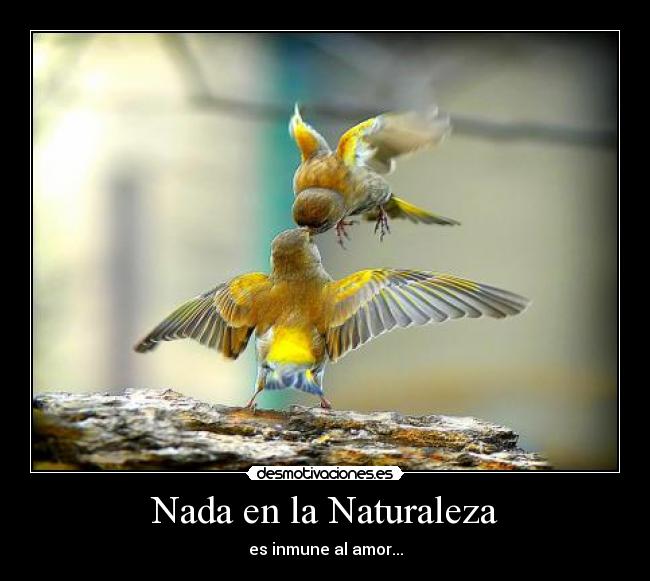 Nada en la Naturaleza - es inmune al amor...
