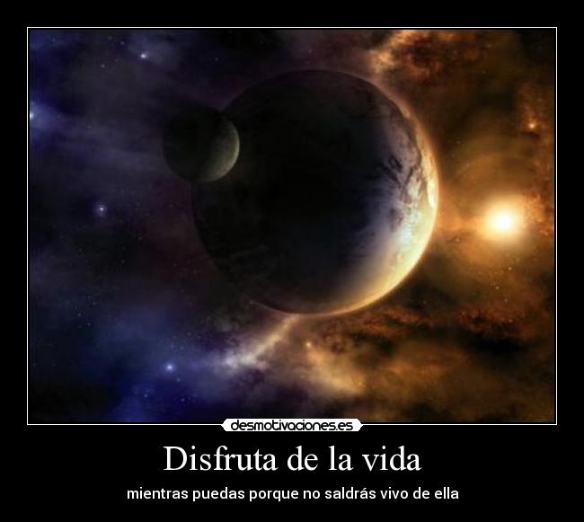 Disfruta de la vida - 