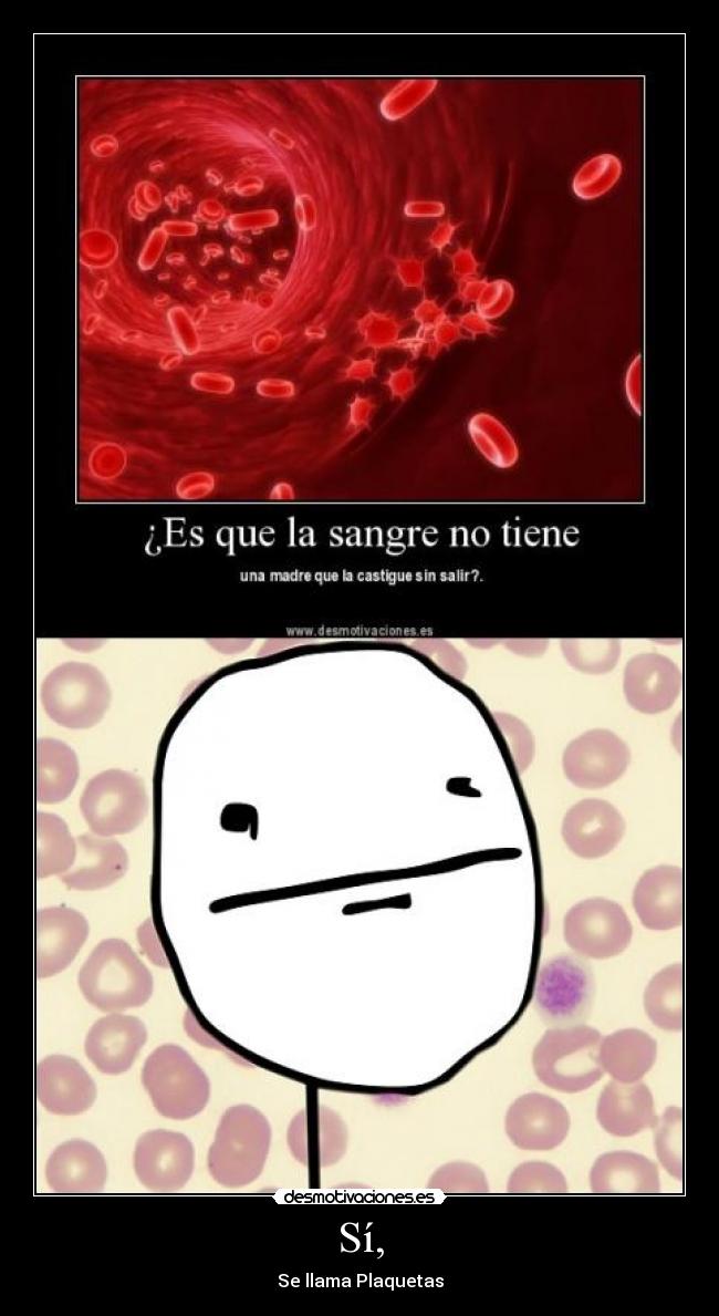 carteles pero sangre veces escapa lol desmotivaciones