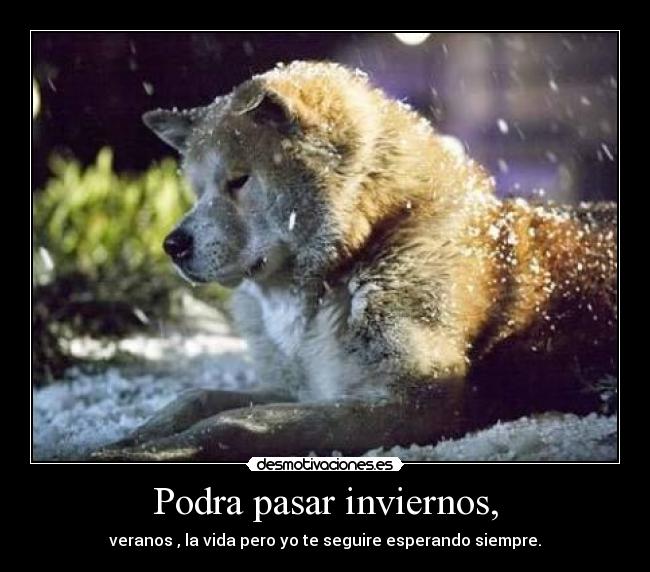 Podra pasar inviernos, -
