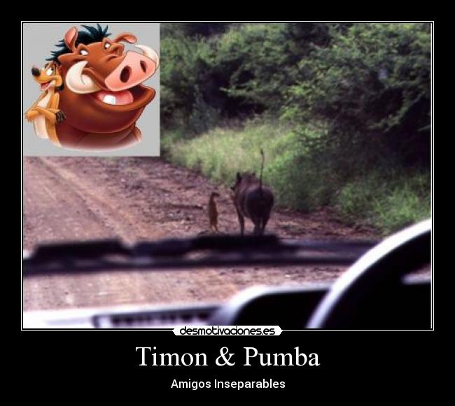Timon & Pumba -
