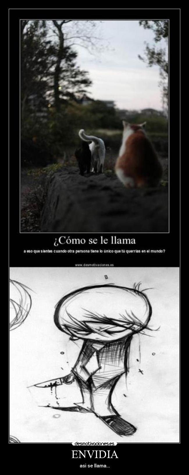 ENVIDIA - asi se llama...