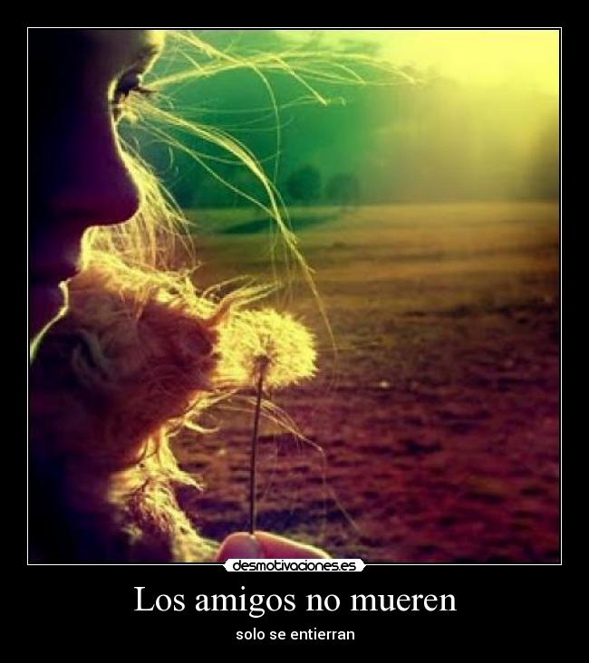 Los amigos no mueren - 