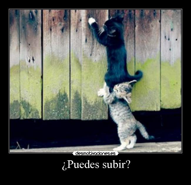 ¿Puedes subir? -