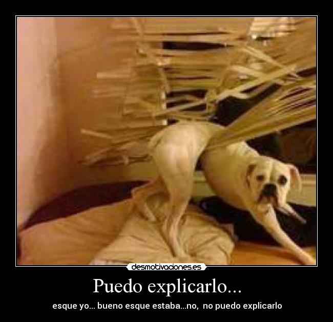 Puedo explicarlo... - esque yo... bueno esque estaba...no,  no puedo explicarlo