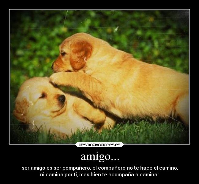 amigo... -
