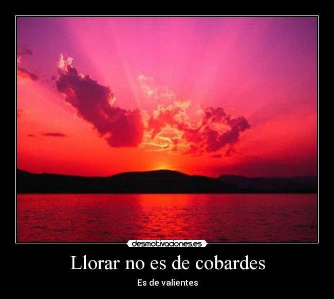 carteles llorar bbbbbb desmotivaciones
