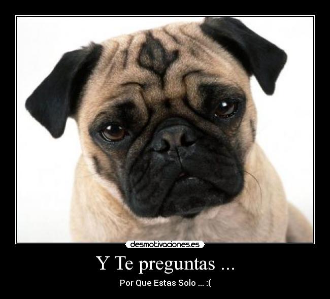 Y Te preguntas ... - 