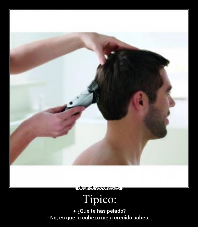 carteles alfervi desmotivaciones