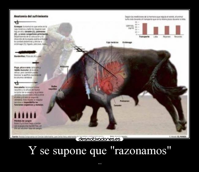 Y se supone que razonamos -