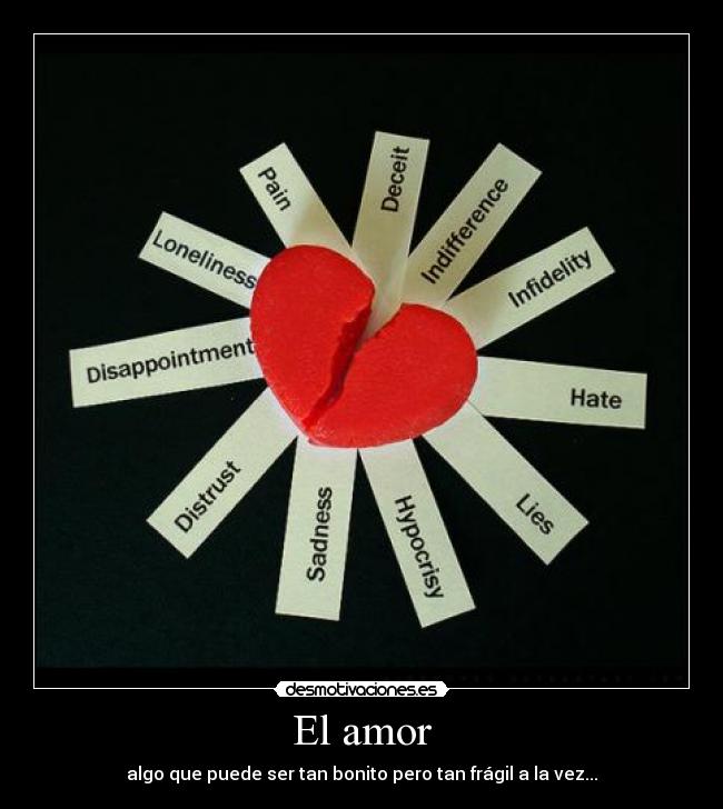 El amor - 