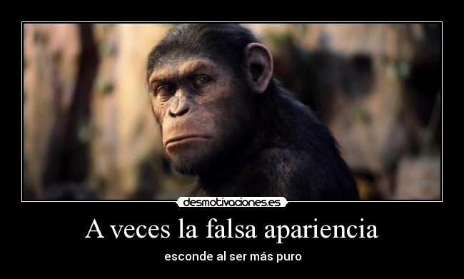 A veces la falsa apariencia - 