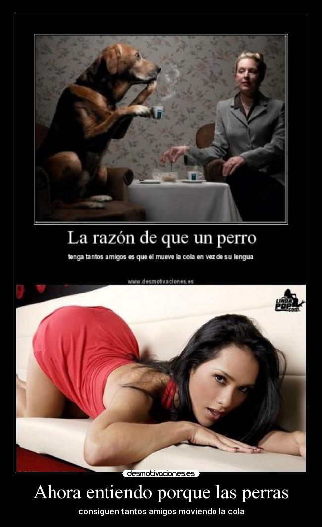 Ahora entiendo porque las perras - 