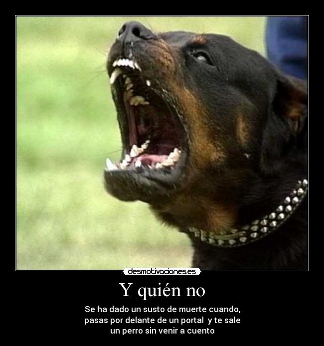 Y quién no - Se ha dado un susto de muerte cuando,
pasas por delante de un portal y te sale
un perro sin venir a cuento