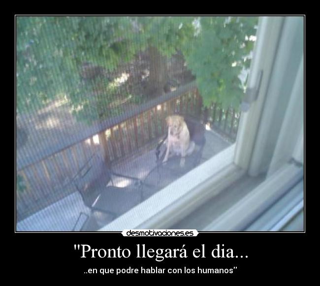 Pronto llegará el dia... - ..en que podre hablar con los humanos