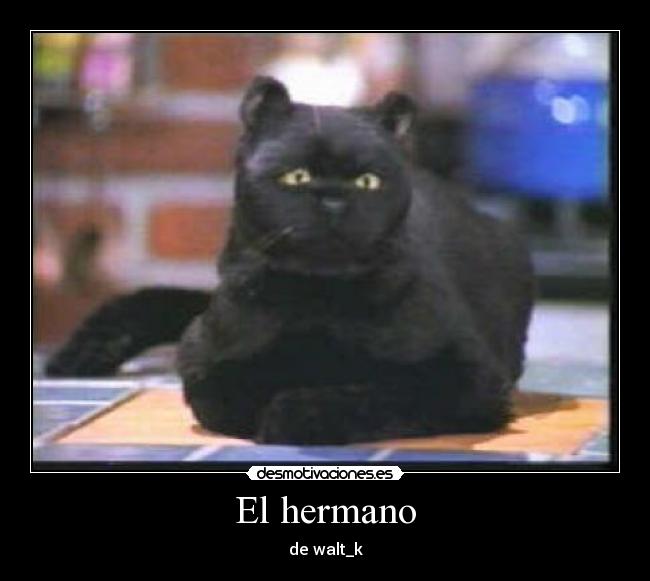 El hermano - 