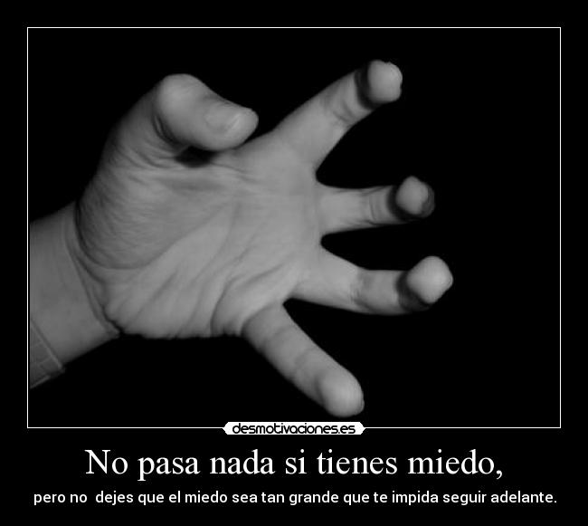 No pasa nada si tienes miedo, - pero no dejes que el miedo sea tan grande que te impida seguir adelante.