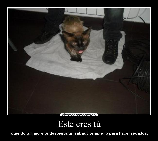 Este eres tú - cuando tu madre te despierta un sábado temprano para hacer recados.