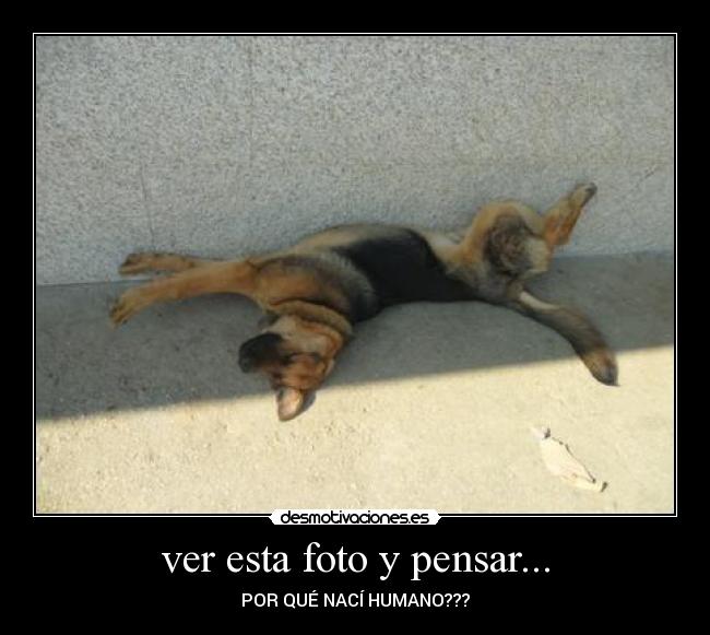 ver esta foto y pensar... - POR QUÉ NACÍ HUMANO???