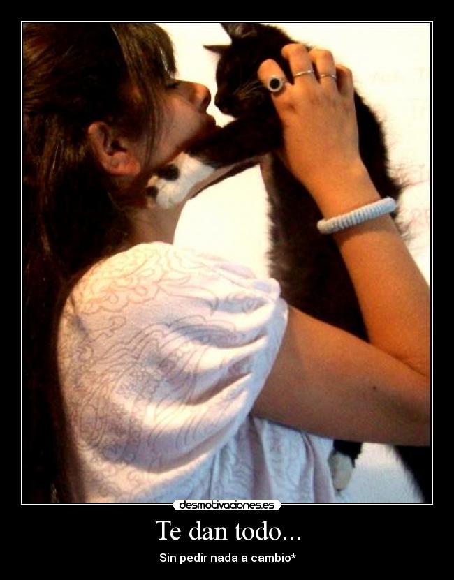 Te dan todo... -
