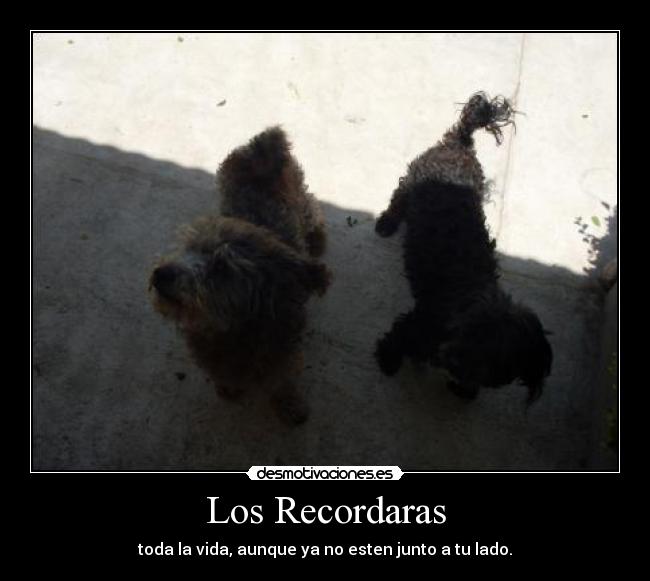 Los Recordaras -