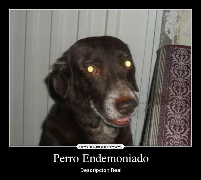 carteles 003 desmotivaciones