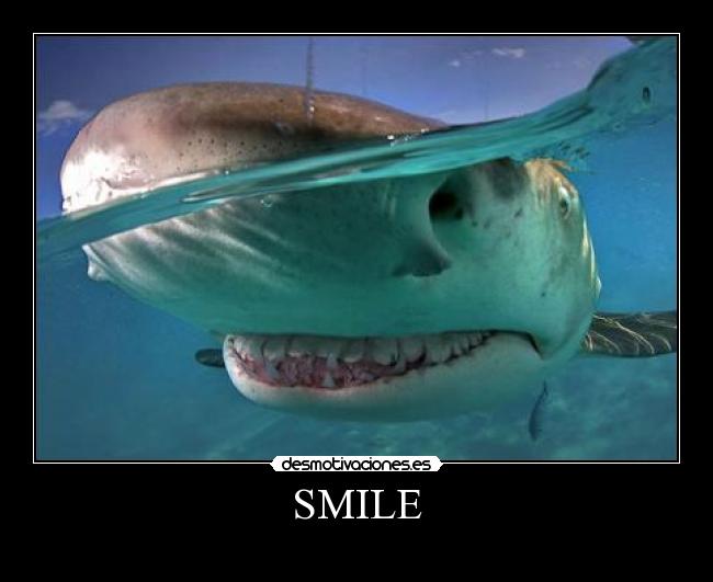 SMILE - 