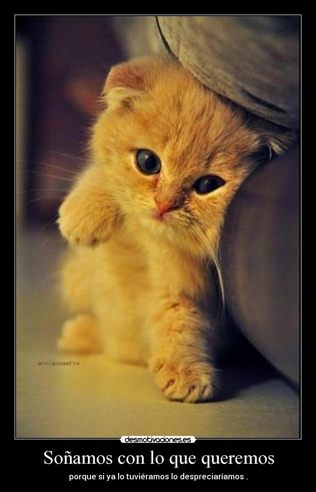 Soñamos con lo que queremos -