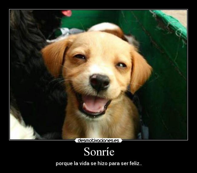 Sonríe -