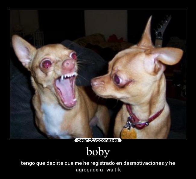boby -