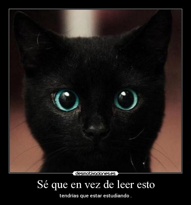 carteles estudiar desmotivaciones