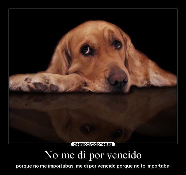 No me di por vencido - porque no me importabas, me di por vencido porque no te importaba.