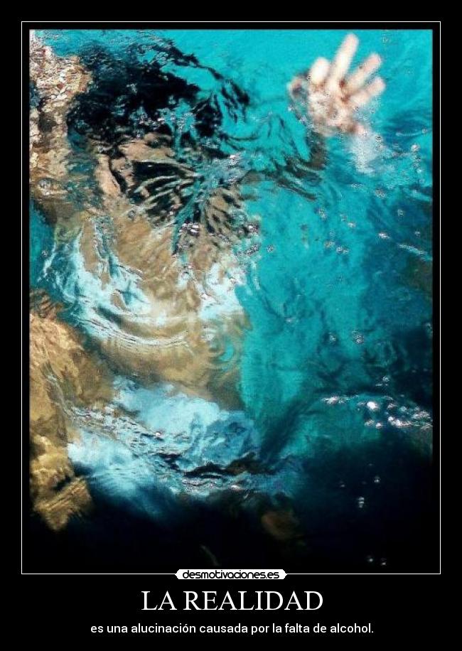 LA REALIDAD -