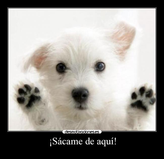 ¡Sácame de aquí! -