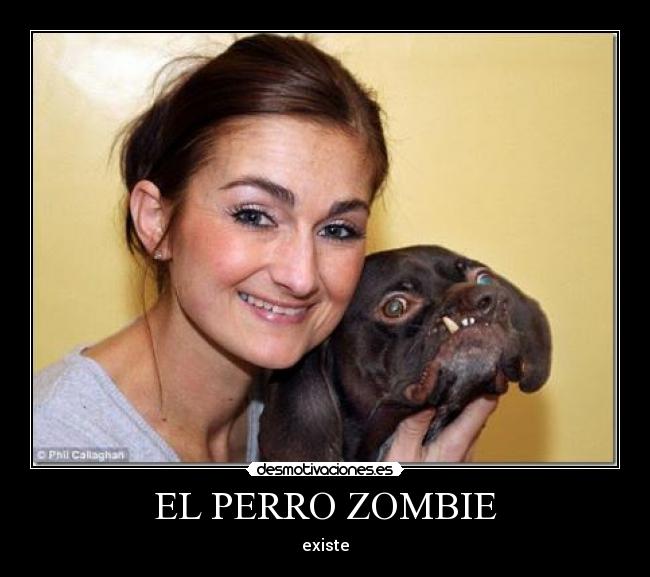 EL PERRO ZOMBIE - 