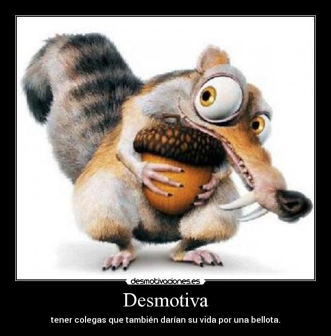 carteles bellota morir paki porros desmotivaciones