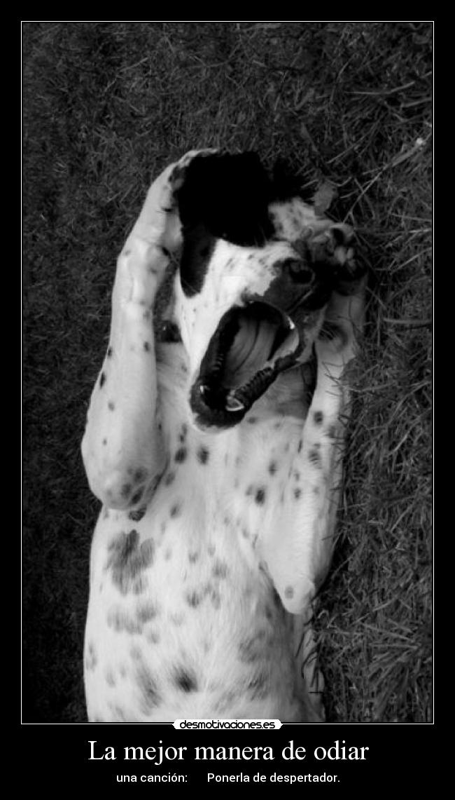 carteles saber quien canta desmotivaciones