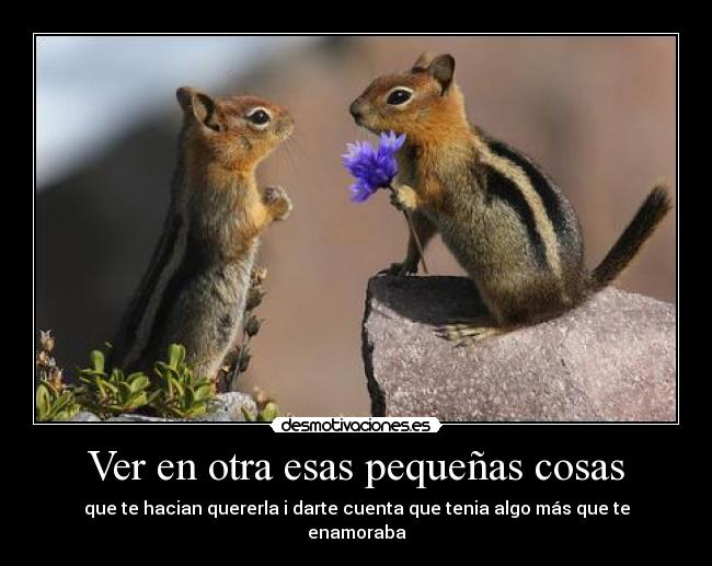 Ver en otra esas pequeñas cosas -