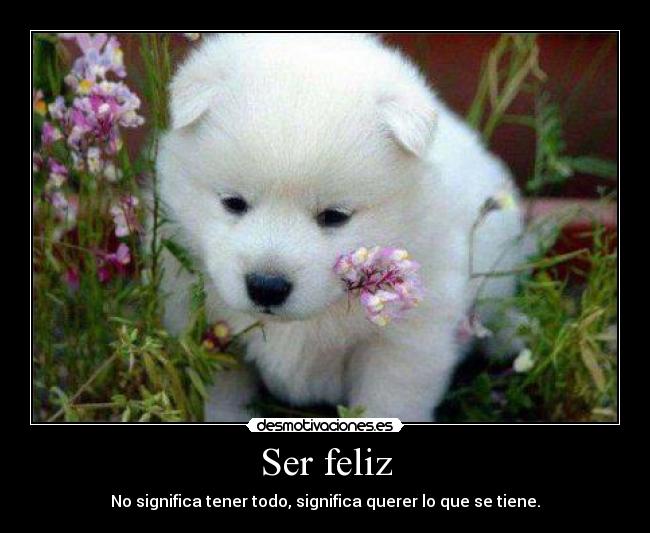 Ser feliz - No significa tener todo, significa querer lo que se tiene.